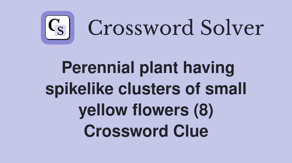 Perennial plant having spikelike clusters of small yellow flowers (8